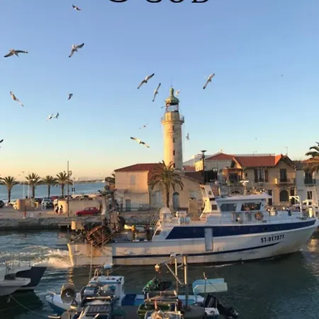 Le Plaisancier - Terrasse Vue Sur Le Port De Plaisance Parking * ル・グロー・デュ・ロワ